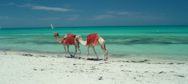 Destination Tunisie - Djerba